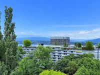 Недвижимость Apartment 3.5 rooms: 2