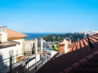 Недвижимость Apartment Monaco, Moneghetti: 5