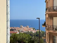 Недвижимость Apartment Monaco, Jardin Exotique: 15