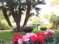 Недвижимость Apartment Monaco, Carre D'Or: 9