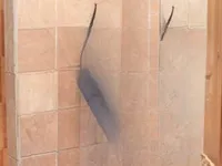 Недвижимость Apartment Cannes: 6