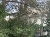 Недвижимость Apartment Cannes: 6