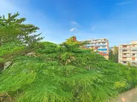 Недвижимость Apartment Cannes République: 7