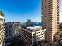 Недвижимость Apartment Monaco, Monte-Carlo: 1