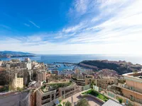 Недвижимость Apartment Monaco, Moneghetti: 1