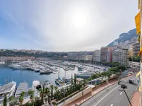 Недвижимость Apartment Monaco, Port: 12