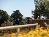 Недвижимость Apartment Cannes Croix Gardes: 2