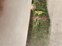 Недвижимость Duplex Cannes La Bocca: 8