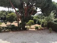 Недвижимость Apartment Cannes: 6