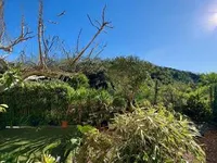 Недвижимость Apartment Cannes Croix Gardes: 3