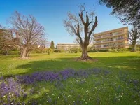 Недвижимость Apartment Cannes Californie: 2