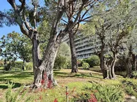 Недвижимость Apartment Cannes République: 14