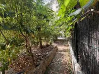 Недвижимость Villa Suquet Cannes: 3