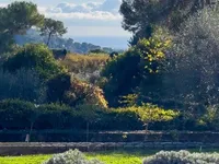 Недвижимость Villa Valmasque Mougins: 3