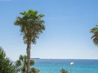 Недвижимость Villa Cannes: 7