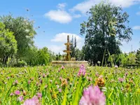 Недвижимость House Cannes Californie: 10