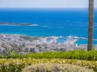 Недвижимость Estate Cannes Californie: 12