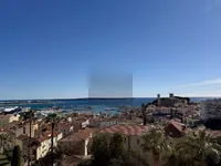 Недвижимость Villa Petit Juas Cannes: 2