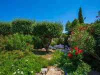 Недвижимость Villa Cannes: 18