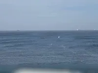 Недвижимость Bugibba North Retreat: 2