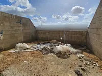 Недвижимость Central Qormi Apartments: 1