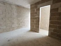 Недвижимость Central Fleur Apartments: 3