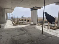 Недвижимость St. Julians Haven: 1