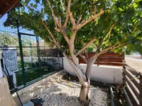 Недвижимость 2 Bedroom Bungalow For Sale In Parekklisia, Limassol: 10