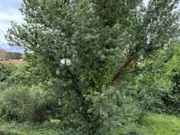 Недвижимость Villa La Bocca: 4