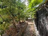 Недвижимость Villa Cannes Suquet: 6