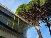 Недвижимость Villa Croix des Gardes: 1