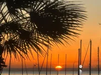 Недвижимость Villa Pointe Croisette: 1