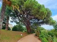 Недвижимость Villa Croix des Gardes: 14