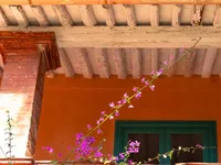 Недвижимость Villa Croix des Gardes: 5