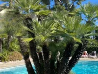 Недвижимость Villa Croix des Gardes: 4