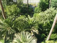 Недвижимость Villa Cannes: 9