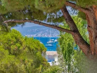 Недвижимость Villa Pointe Croisette: 12