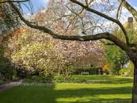 Недвижимость Paultons Square, Chelsea: 7