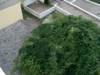 Недвижимость Трёхкомнатная квартира, Центр: 46