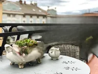 Недвижимость Трехкомнатная квартира в Центре: 23