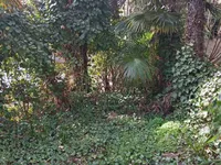 Недвижимость Трехкомнатная квартира в центре: 15