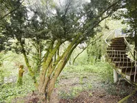 Недвижимость House for sale in Luxembourg-Belair: 2