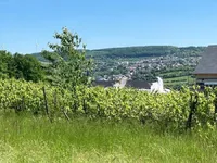 Недвижимость Detached house for sale in Schengen: 3