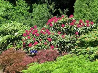 Недвижимость Villa 5 bedrooms for sale in Kehlen: 6