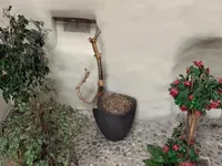 Недвижимость Furnished flat 3 rooms: 8