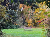 Недвижимость Apartment 3 rooms: 3