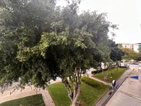 Недвижимость 3 Bedroom Apartment For sale in Neapolis, Limassol: 13