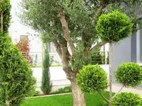 Недвижимость 5+1 Bedroom Beachfront Villa for Sale in Limassol: 6