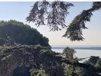 Недвижимость Villa Cannes Californie: 3