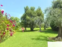 Недвижимость House Cannes: 1